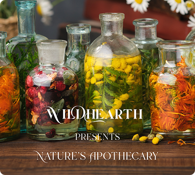 Nature’s Apothecary Nature’s Apothecary