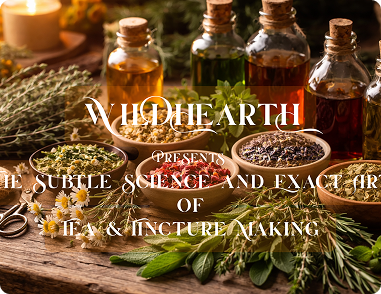 Tea & Tinctures Tea & Tinctures